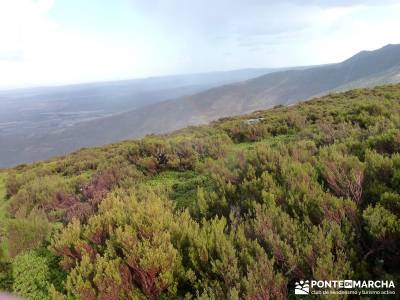 Parque Natural de Tejera Negra - Cantalojas - Guadalajara - Sierra de Ayllón;fotosenderismo